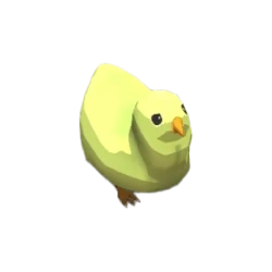 Chook Baby