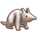 Buttowcoot Joey