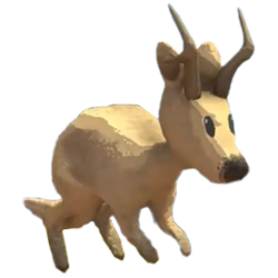 Jackaroo