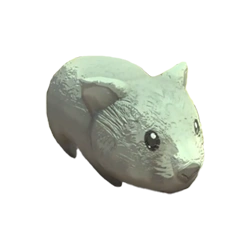 Vombat Joey