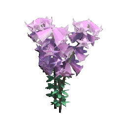 Common Heath