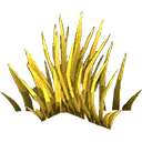 Grass