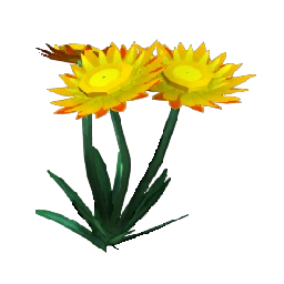 Orange Paper Daisy