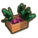 Beetroot Box