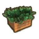 Carrot Box