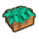 Kale Box