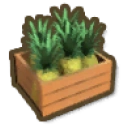 Pineapple Box