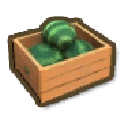 Watermelon Box