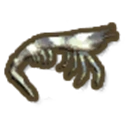 Tiger Prawn