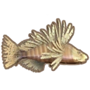 Lionfish