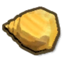 Cassidae Shell