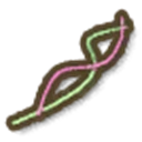 Bright Wire
