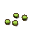 Tropical Grass Seed